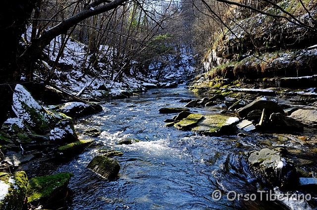 _DSC0040-f.jpg - Risalendo il Rio Rovigo, valle del Santerno [a, FF, none]